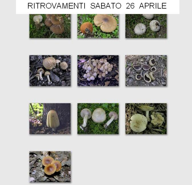 Ritrovamenti 26 aprile.